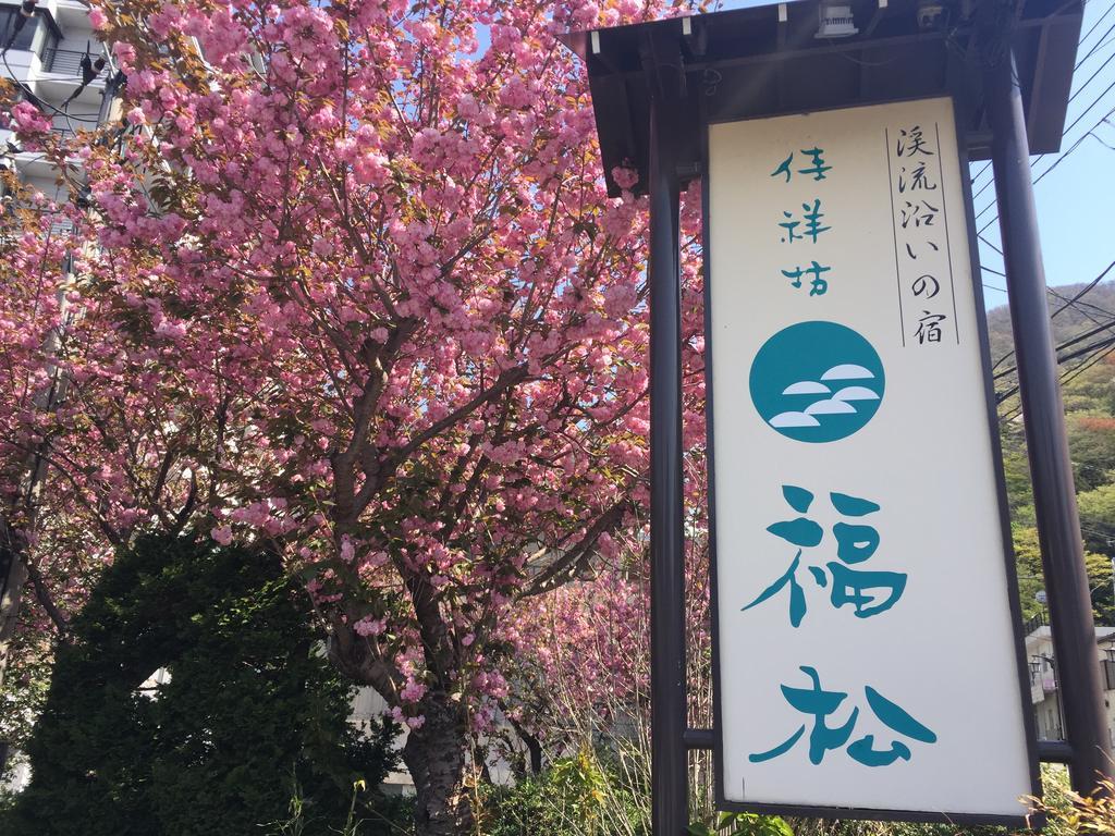 Готель Kinugawaonsen Fukumatsu Нікко Екстер'єр фото